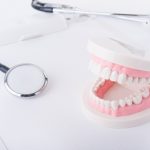 歯の模型と聴診器