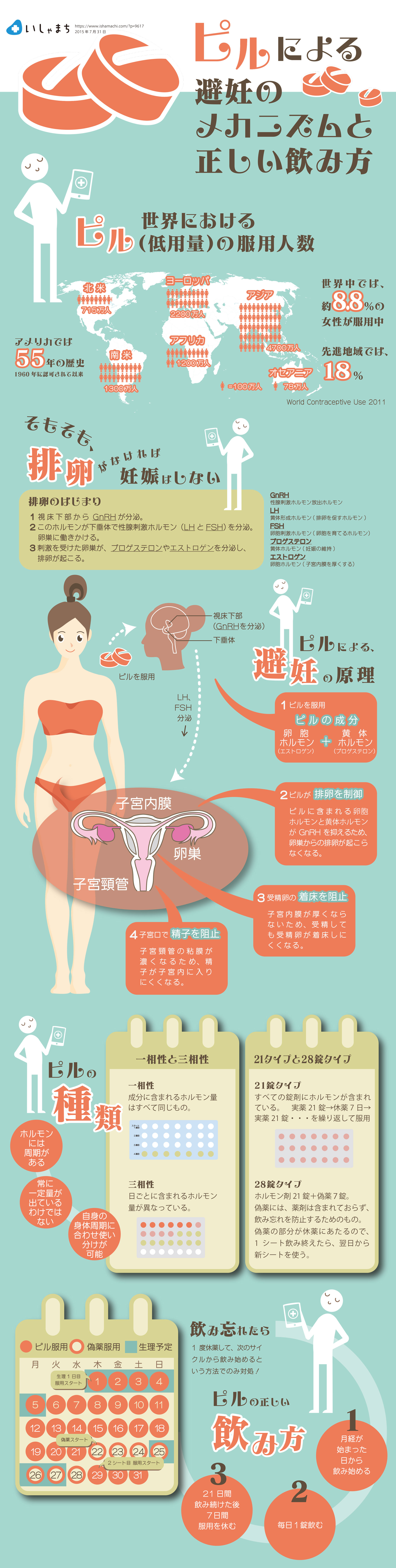 ピルによる避妊のメカニズムと正しい飲み方-図解