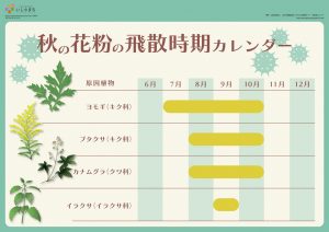 秋の花粉の飛散時期カレンダー