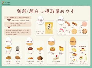 鶏卵（卵白）の摂取量のめやす