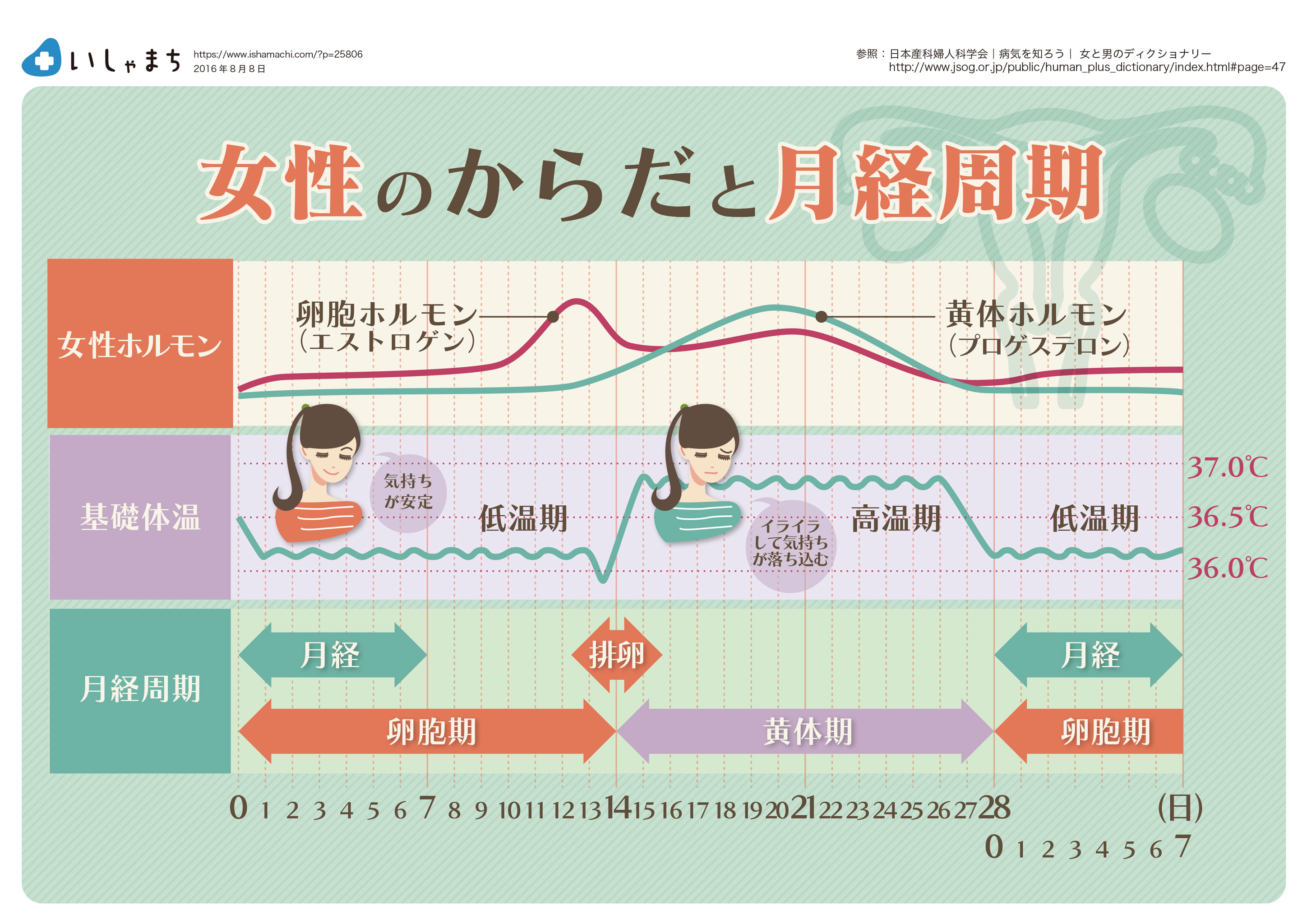 从两幅图片开始浅谈月经周期 - 知乎