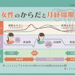 女性のからだと月経周期