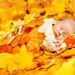 落ち葉にくるまって眠る赤ちゃん