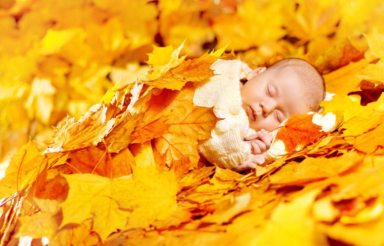 落ち葉にくるまって眠る赤ちゃん