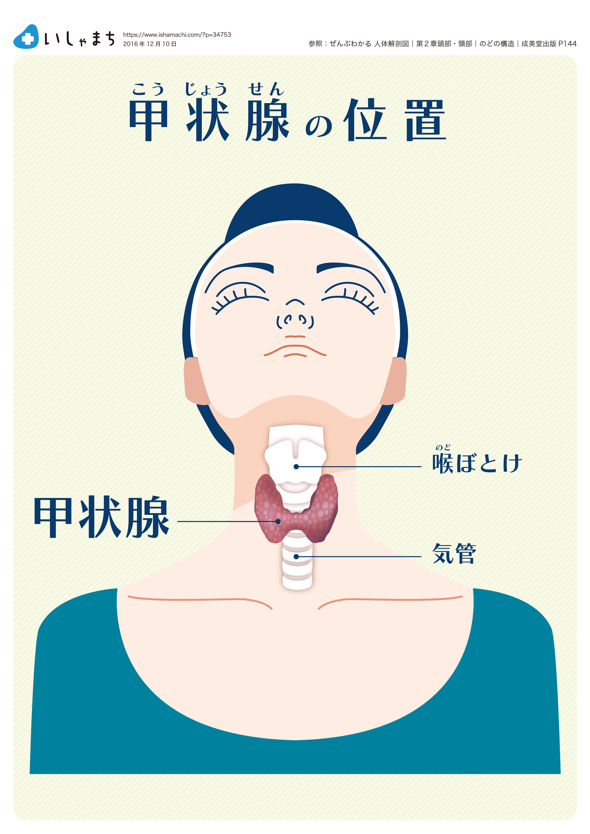 甲状腺 病気 チェック Hello Doctor