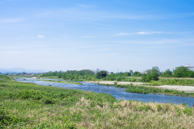 河川敷