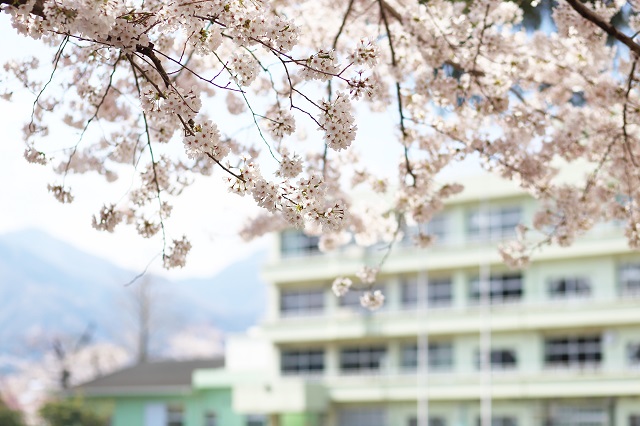 桜と校舎