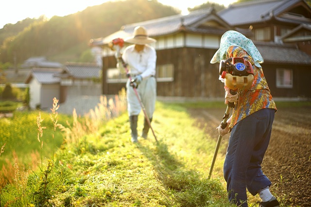 農作業に勤しむお年寄り