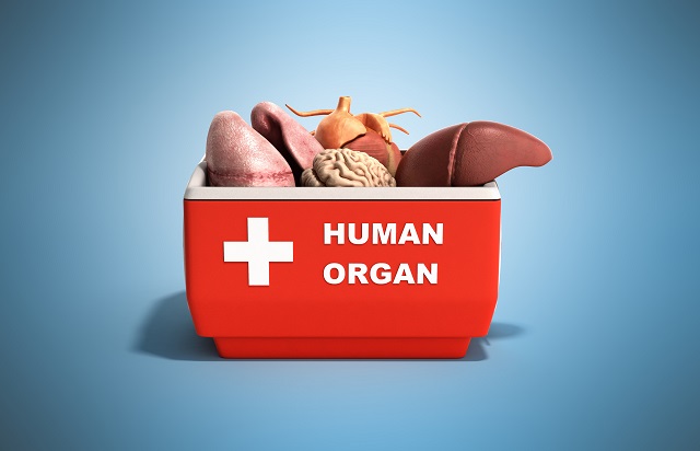 人間の臓器を詰め合わせた箱