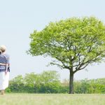 大きな木を見上げる女性