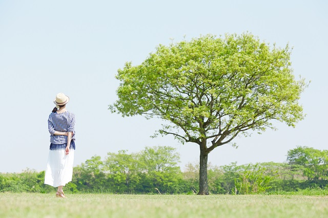 大きな木を見上げる女性