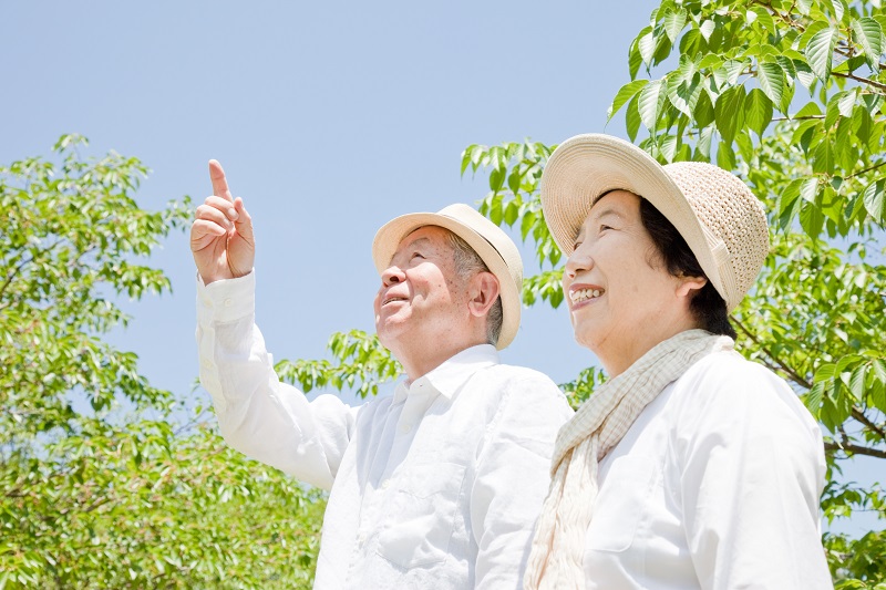 夏空の下の老夫婦