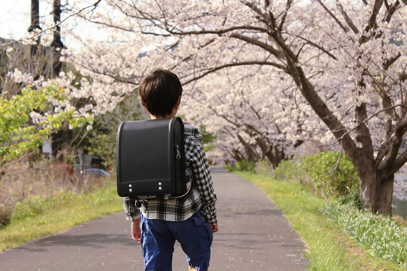 桜のトンネル