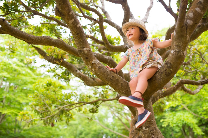 木登りをする少女